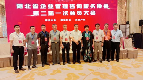 湖北省企業管理咨詢服務協會換屆,程鵬當選為會長